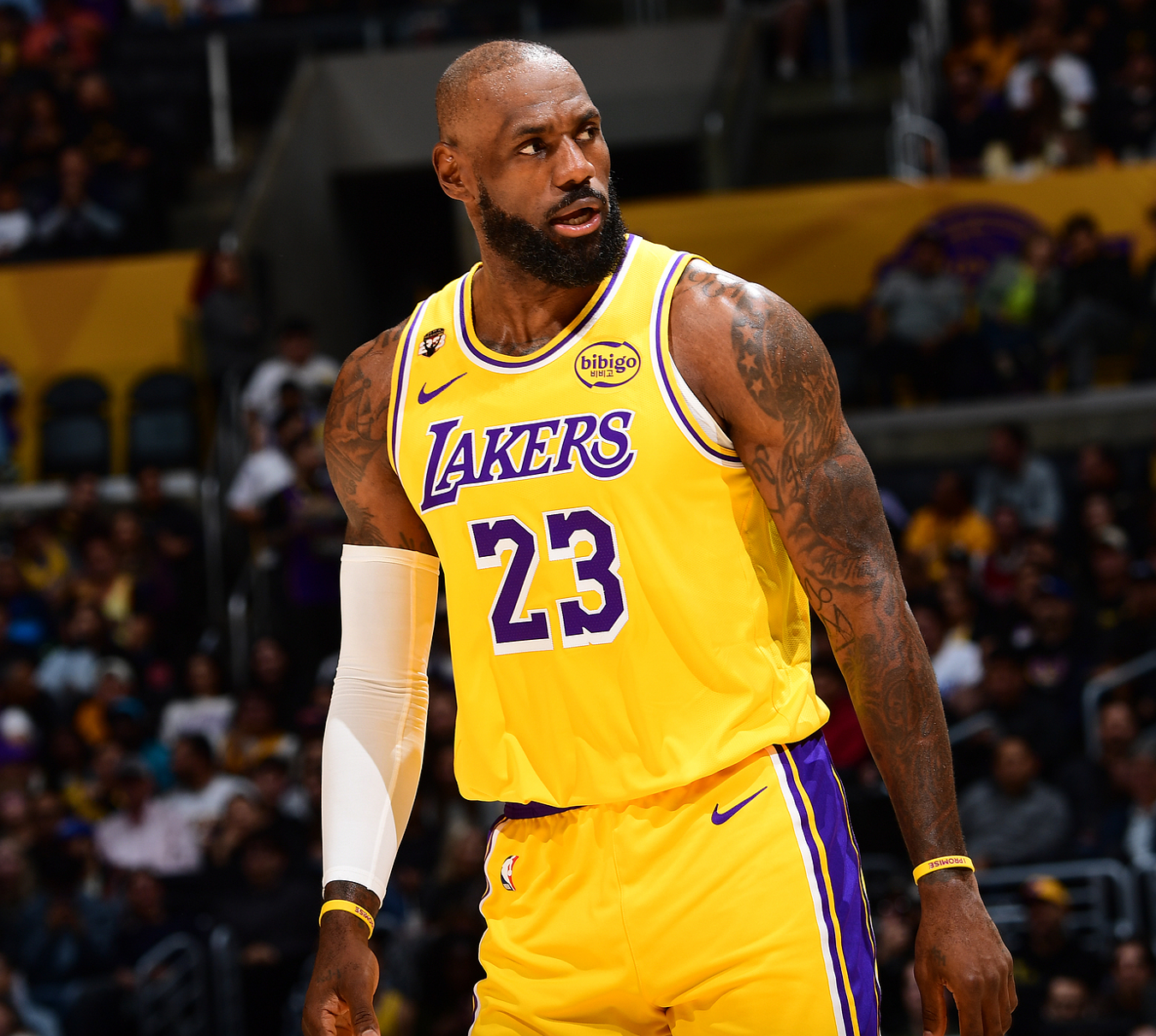 世界杯官方直播软件下载-湖人近5战4负！詹姆斯29+9惨败黄蜂 东契奇39分三球30+9三分